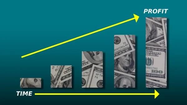 Scaling Your Online Business: How to Grow Sustainably in 2025