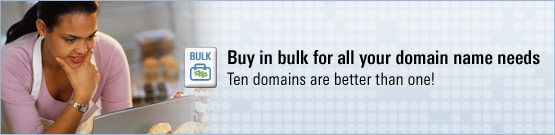 bulk-domain-reg